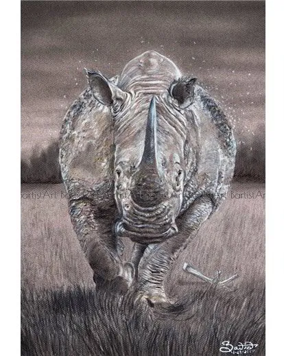 Rhino Metal Print