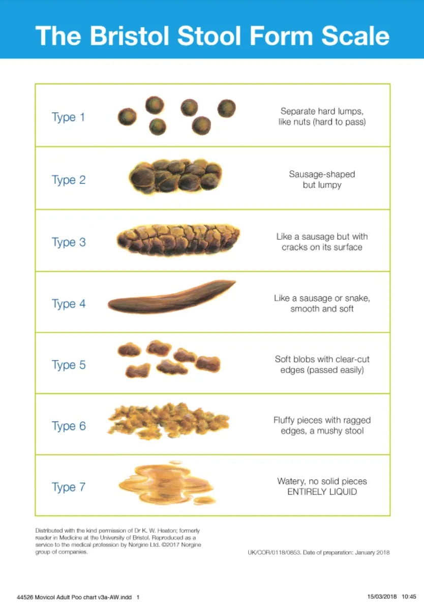 Красный кал причины у женщин. Бристольская шкала кала. Бристольская шкала формы кала. Бристоль шкала стула. Бристольская шкала формы стула.