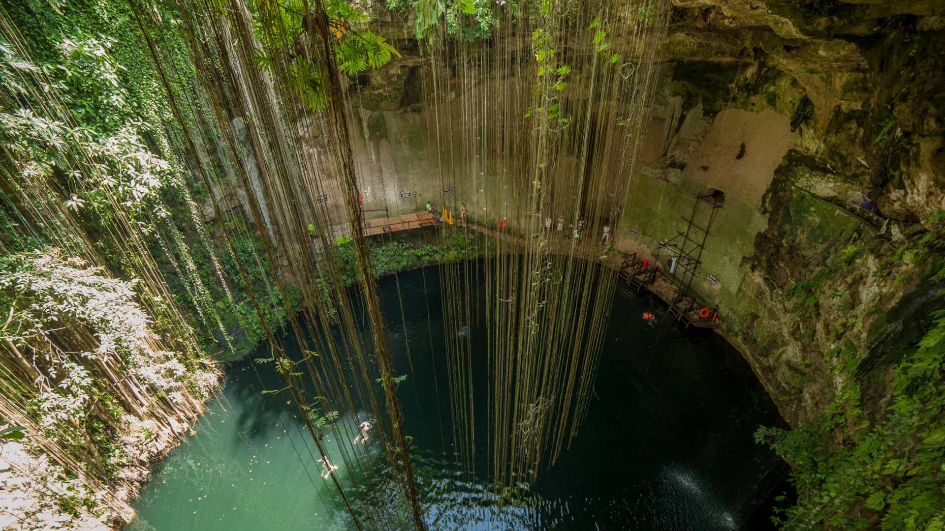 cenotes en Riviera Maya