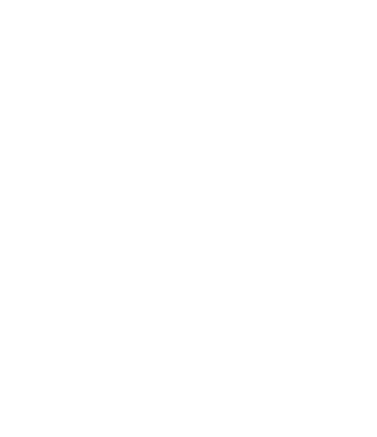 Moto Speed