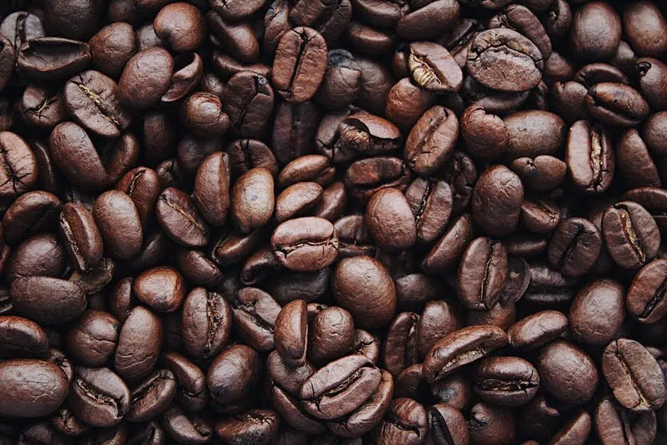 Why Is Coffee So Popular?