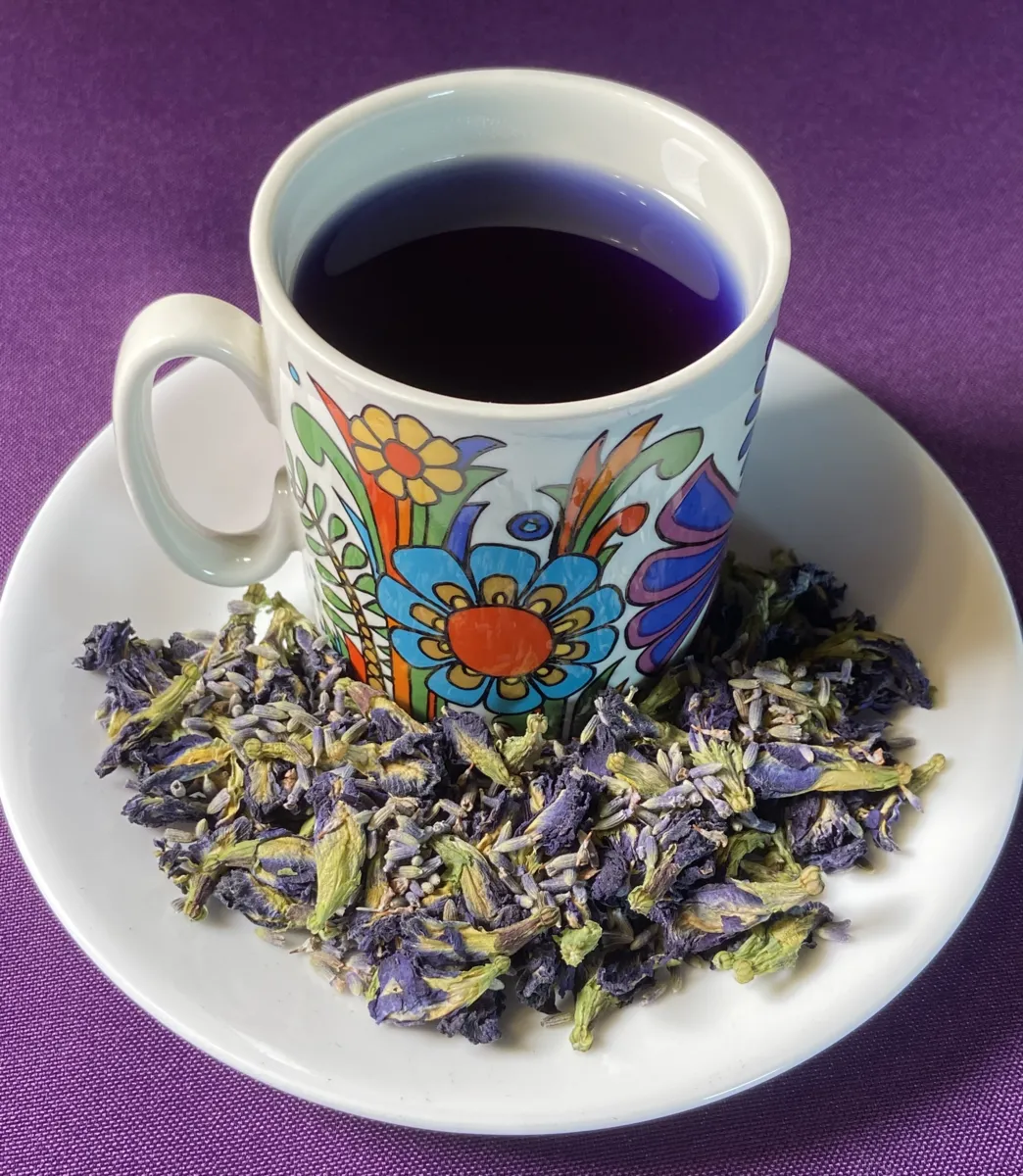Butterfly Pea & Lavender Tea