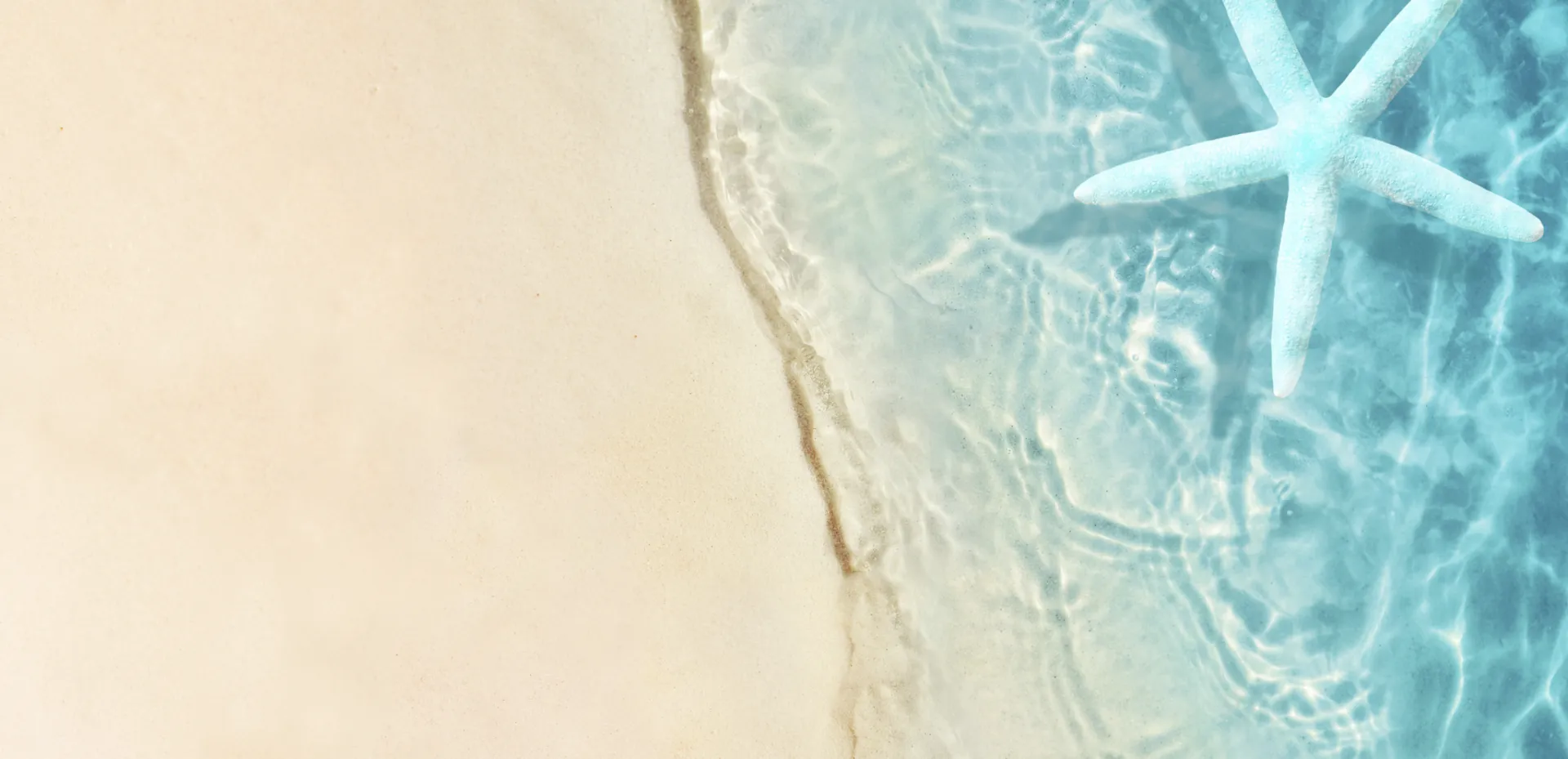 Grows Beautiful \u0026 tall, crinum seeds 10+! Ak white Spider Lilly. Some  sprouting!, image size:1920x929