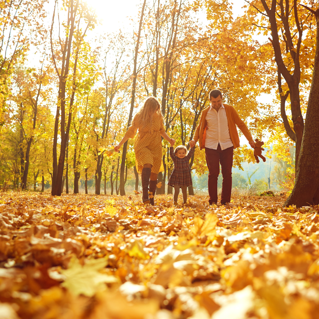 5 MoneySaving Travel Tips for the Holiday Season