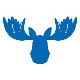 Blue Moose Storage