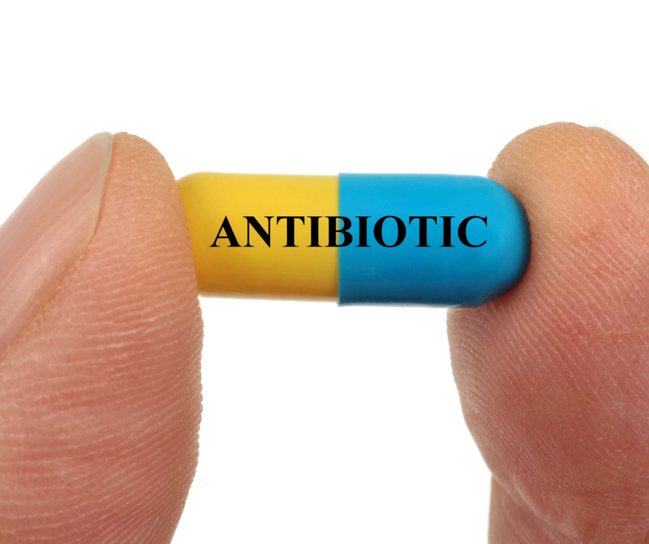 what-do-antibiotics-do-to-my-microbiome