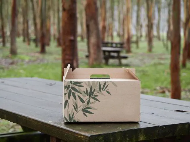 Custom Box Printing Singapore | Food & Retail Packaging Supplier