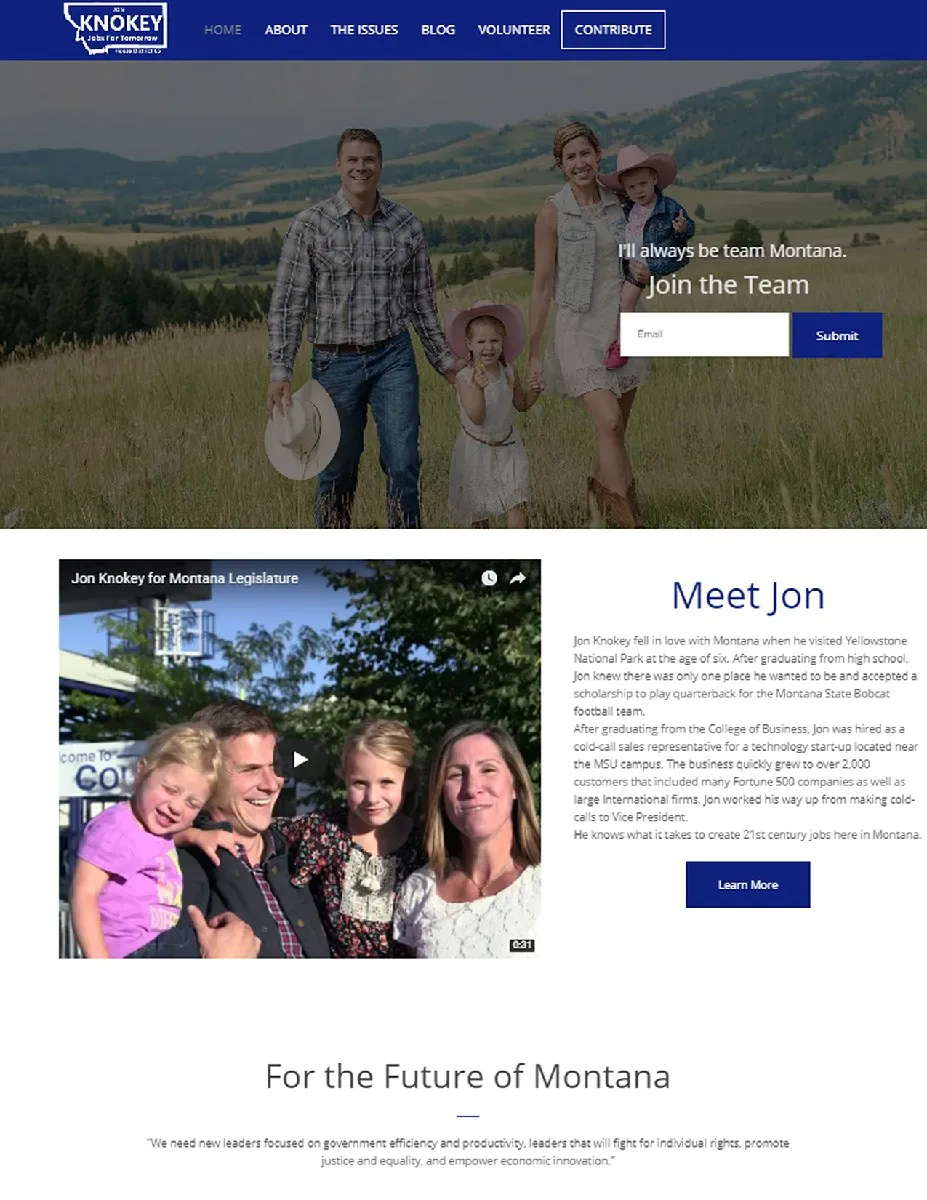Example Professional Campaign Website