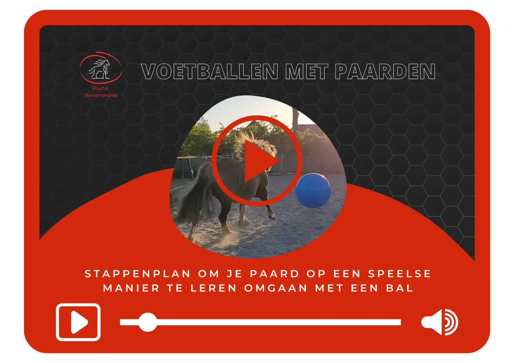 Presentatievideo "Leer je paard voetballen"