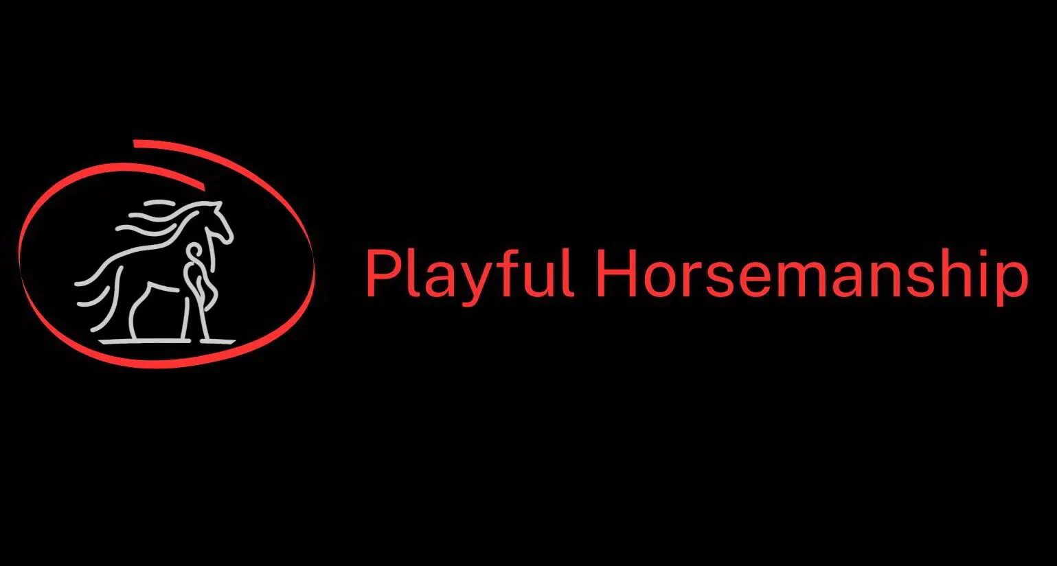  Playful Horsemanship