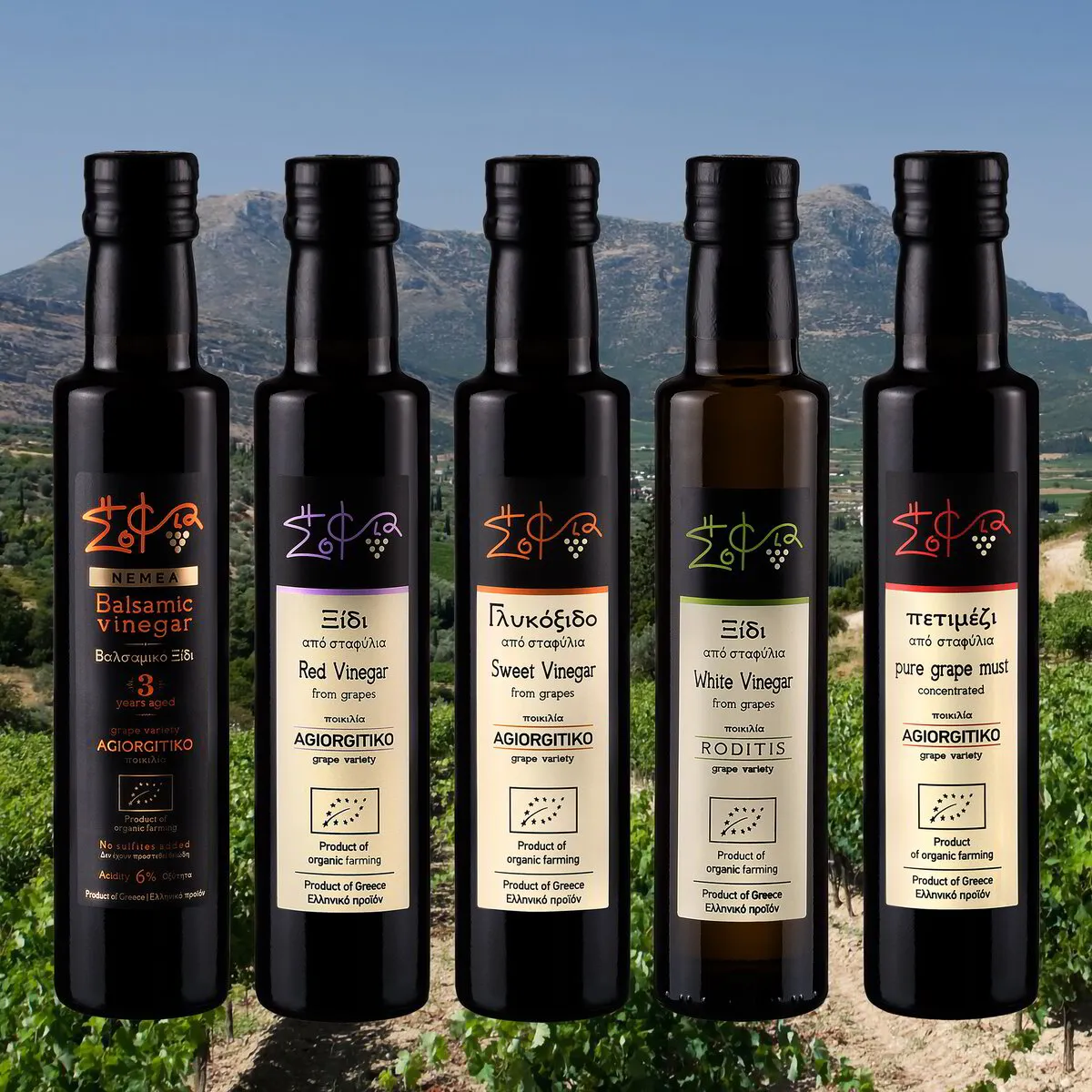 Gresk fjelloregano | Gresk Olivenolje, image size:1200x1200