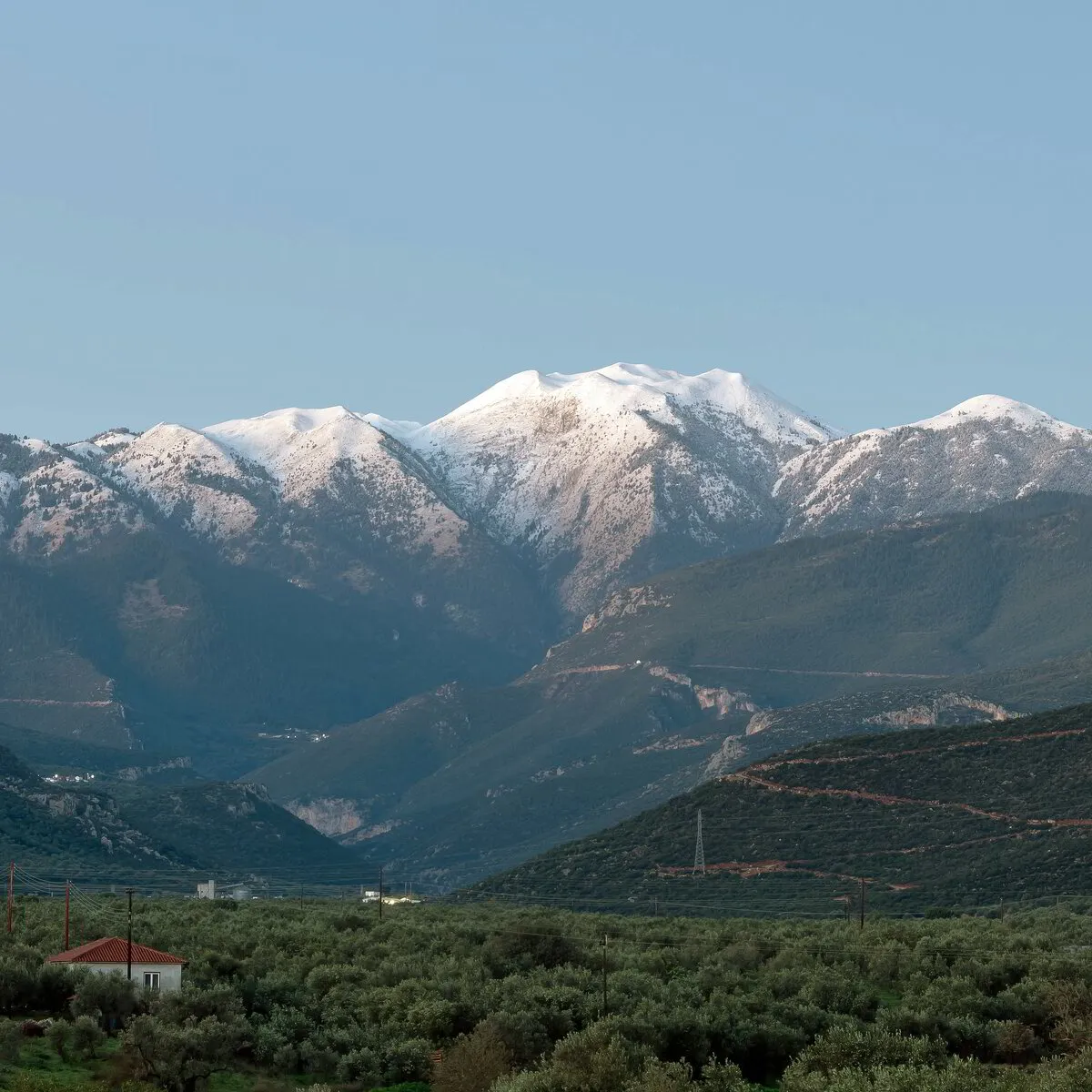 Akropolismuseets samling | Kunstprodukter fra antikkens Athen, image size:1200x1200