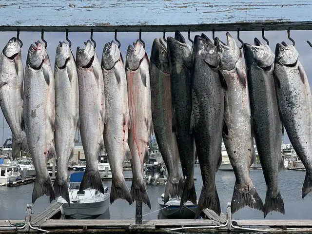 Astoria Oregon Salmon Fishing |  Oregon Fishing Charter