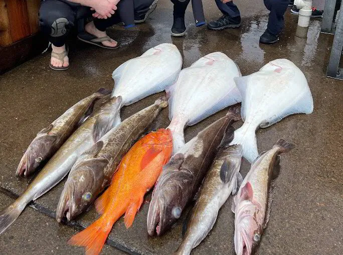 Oregon Long Fish Newport Oregon Fishing Charter