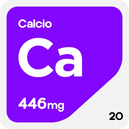 calcio-componente-focus-booster-nootropico-nutrir-cerebro-aumentar-energia-y-concentracion