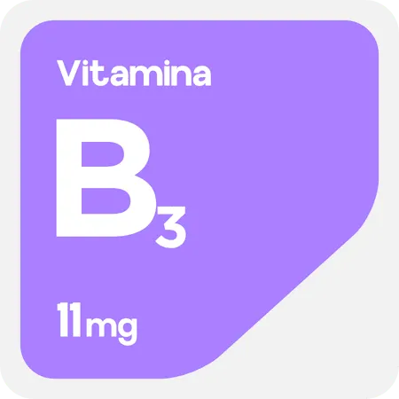 vitamina-b3-componente-focus-booster-nootropico-nutrir-cerebro-aumentar-energia-y-concentracion