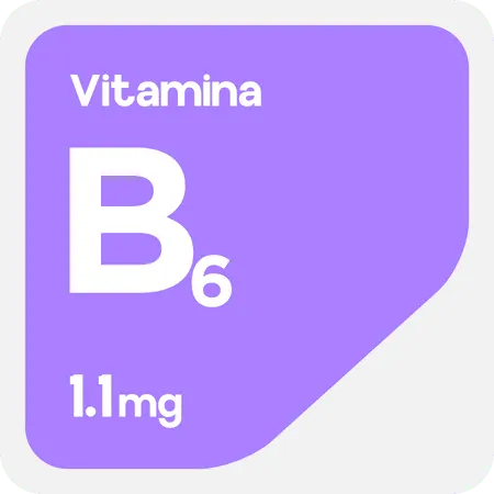 vitamina-b1-componente-focus-booster-nootropico-nutrir-cerebro-aumentar-energia-y-concentracion