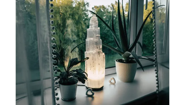 House plants and crystals
