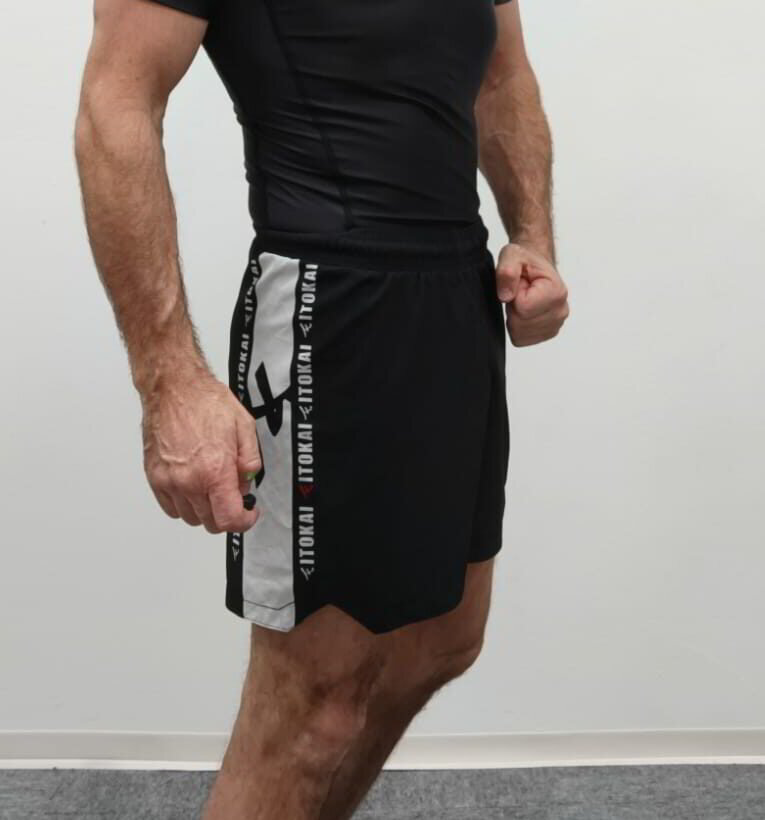 A besoin de Inefficace moustache short de compression Nike Pro Combat Violet sa A besoin de Inefficace moustache short de compression Nike Pro Combat Violet sa