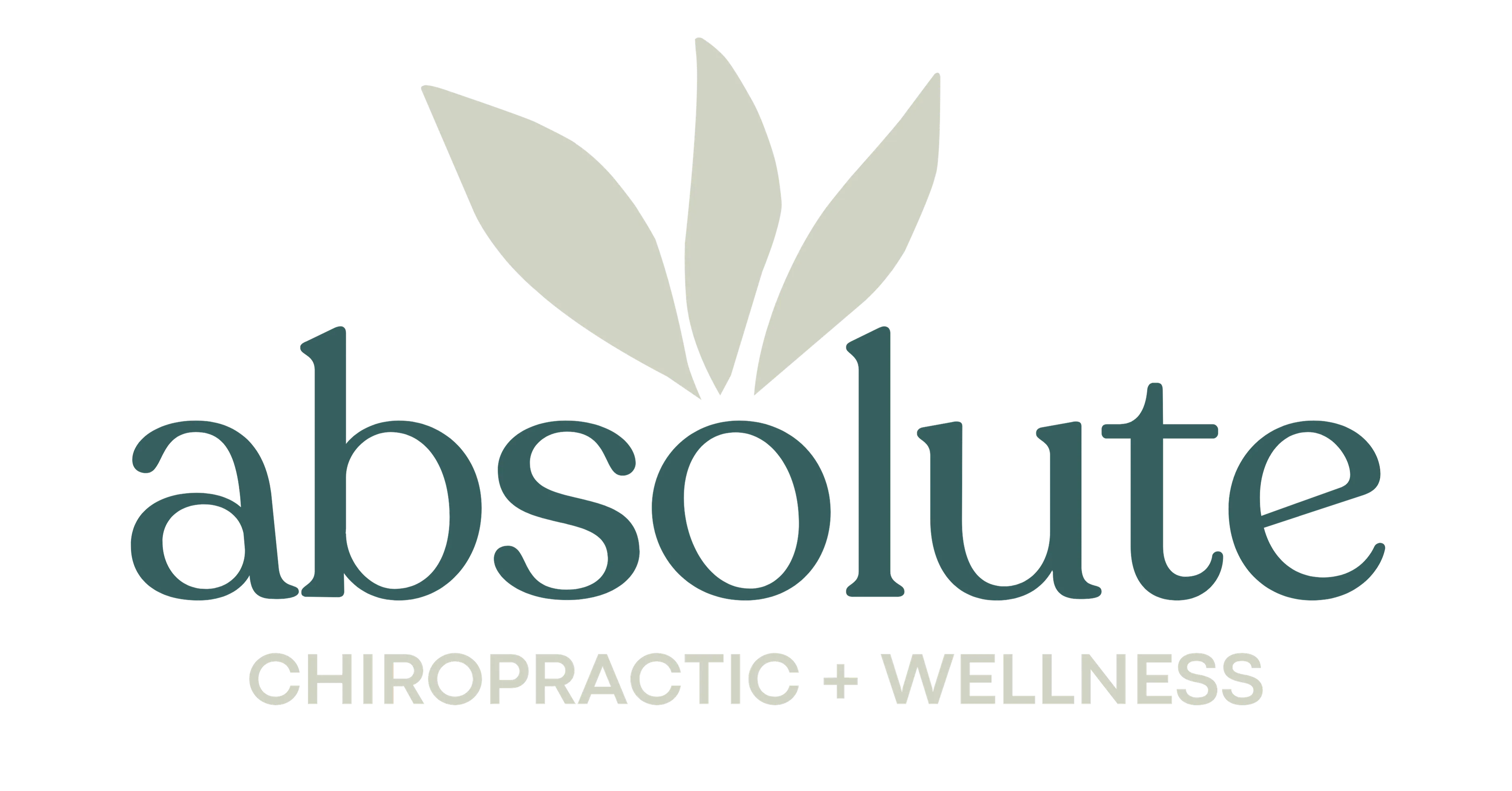 Absolute Chiropractic + Wellness