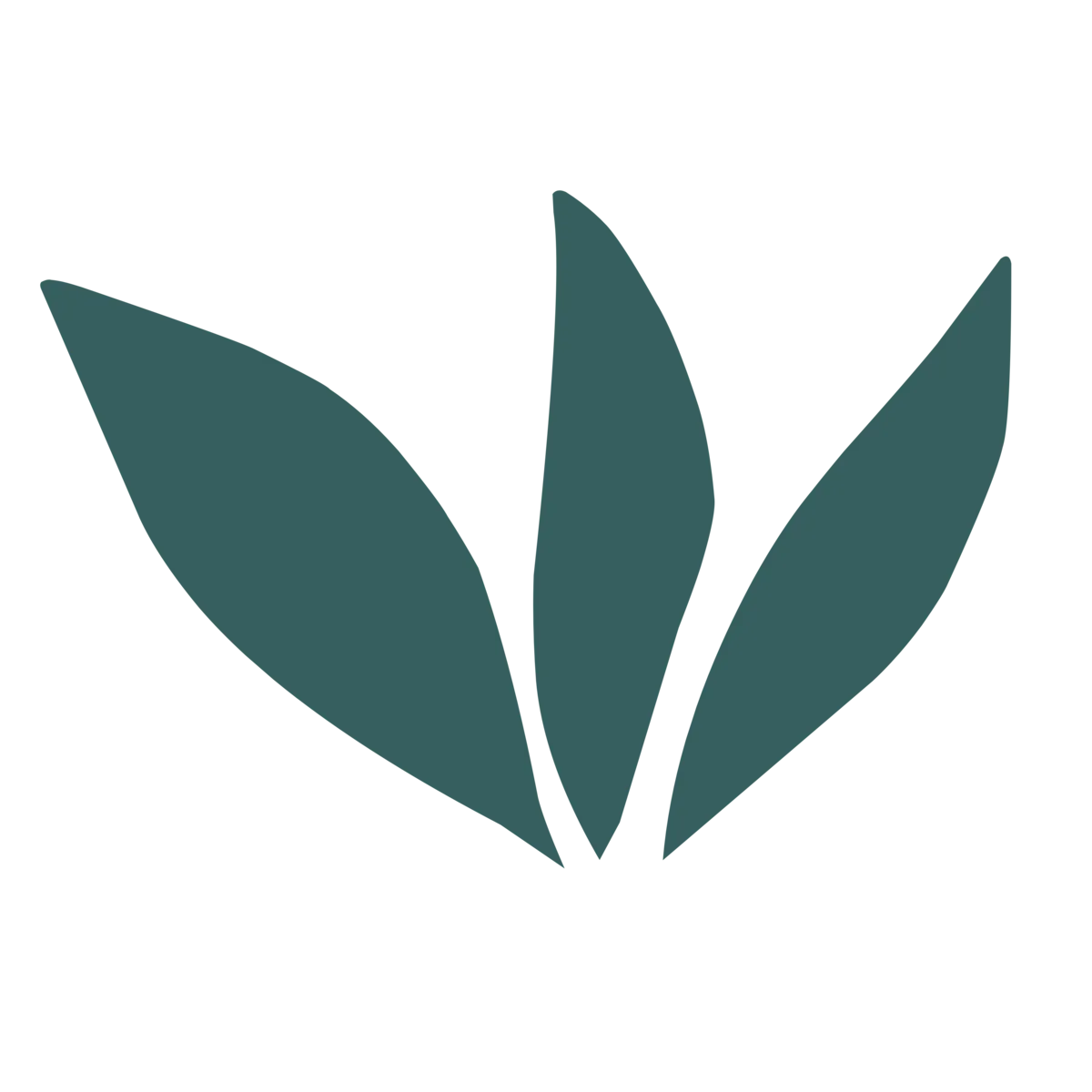 Absolute Chiropractic + Wellness