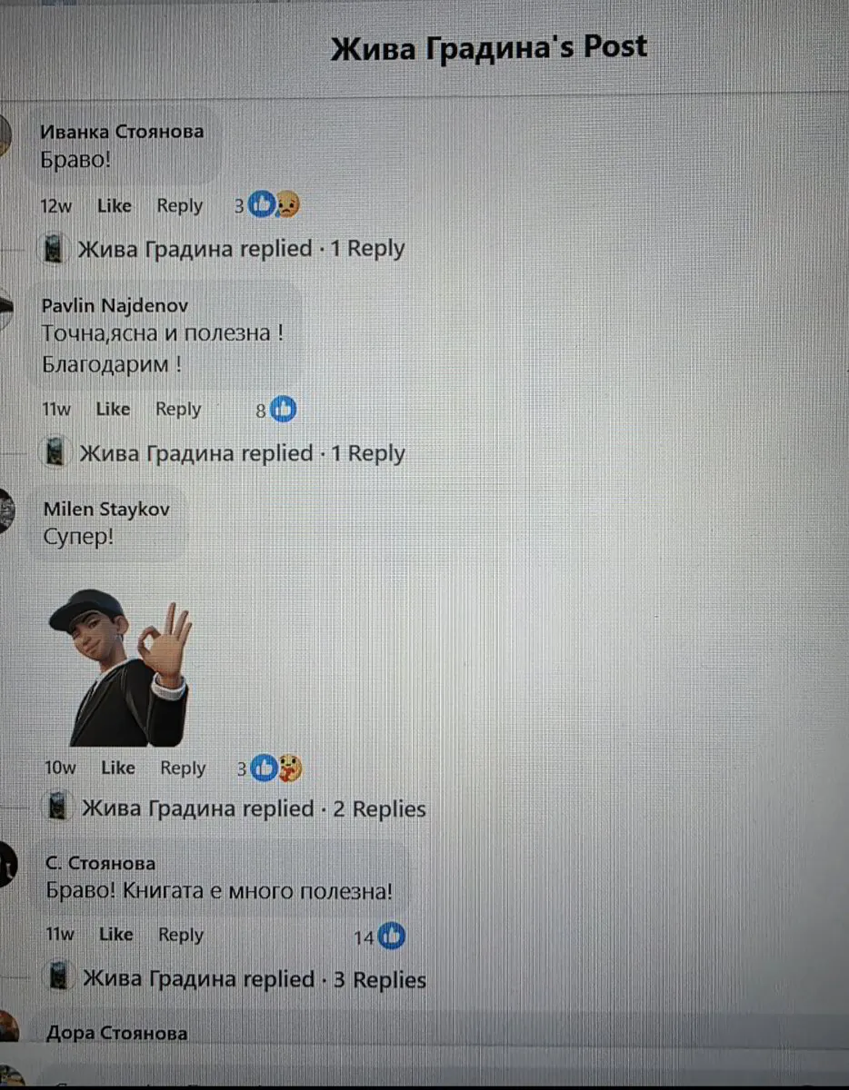Успешен пример 4