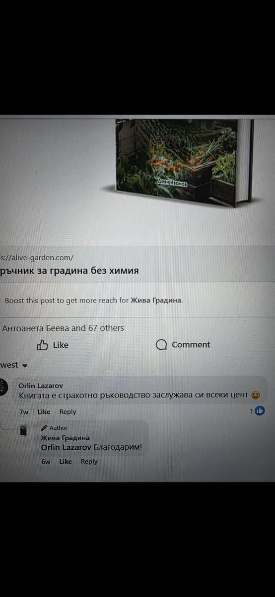 Успешен пример 3