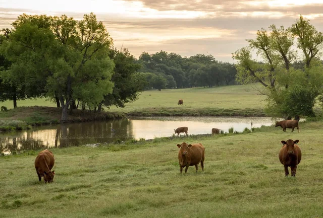 Trinity Water - Central Texas - Home