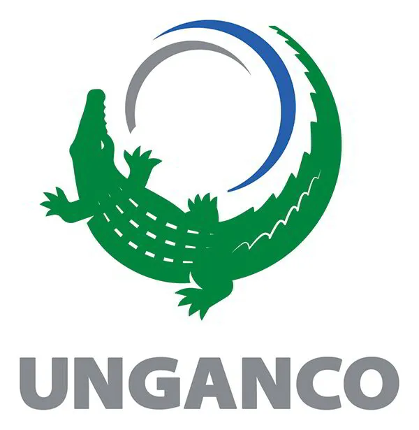 Unganco Engineering Consultancy