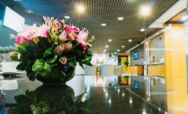 Blumenschmuck für Praxen und Büros