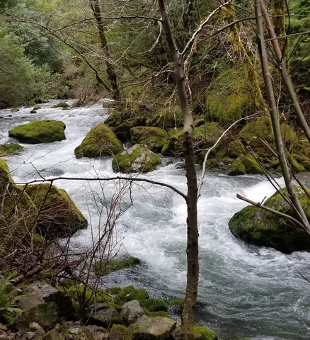 Healing Sacred Feminine Sound and Land Healing Pilgrimage