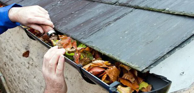 GUTTER CLEANING Photo