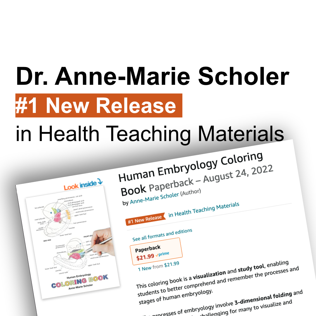 Coloring Book Reaches #1 in New Releases