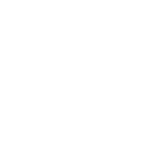 Ita Vita logo (wit)