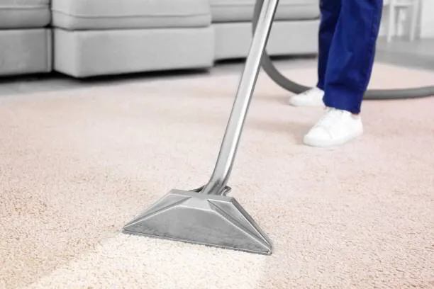 Pet Carpet Cleaner Carpet Cleaning Extraction Agents