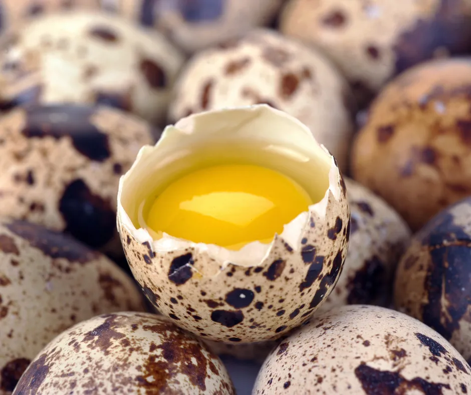 Wholesale Quail Eggs | 10 dozen/case