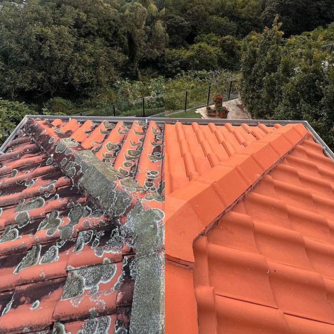 Gold coast roof cleaning