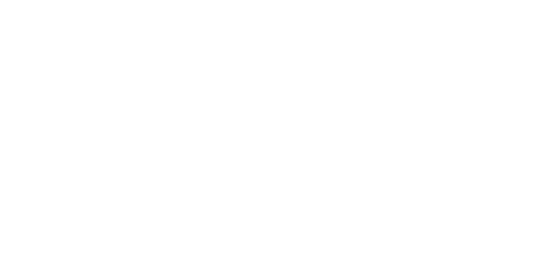 Kingfisher Group Website