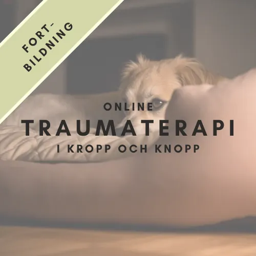 Traumaterapi för hund - fortbildning