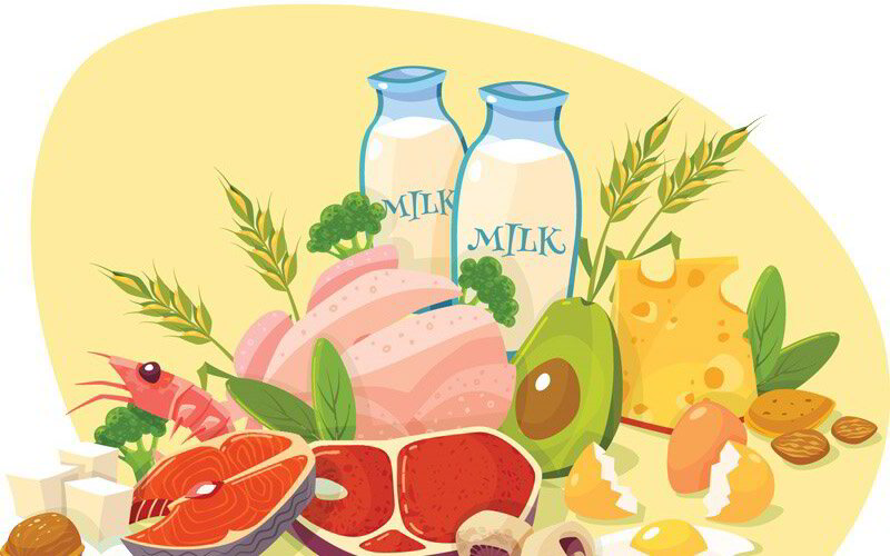 Quanto mais proteína, mais massa muscular ganho?