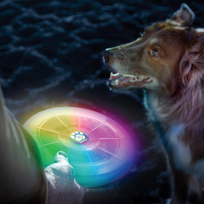 Nite Ize Flashflight Dog Discuit LED Flying Disc