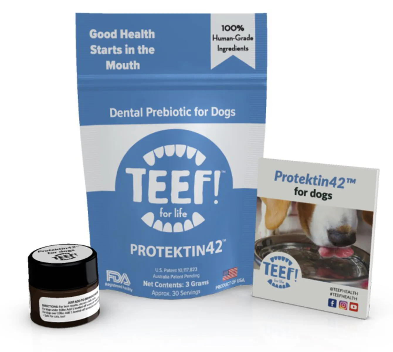 Teef for Life - Protektin 42 Dental Prebiotic