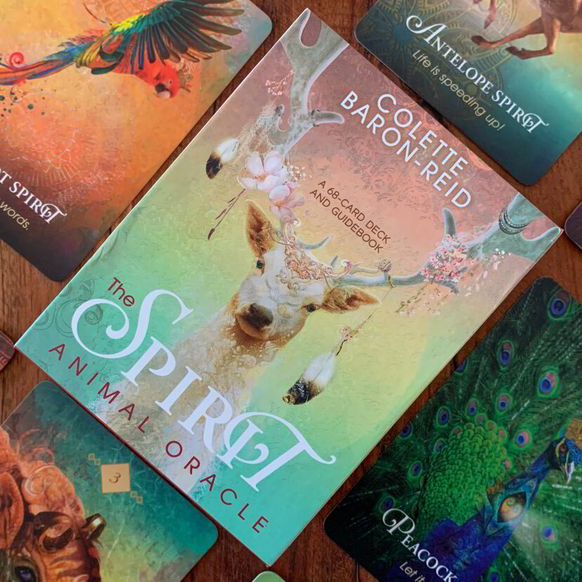 The Spirit Animal Oracle A 68 Card Deck And Guide Book By Colette Baron Reid