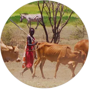 Maasai Cultural Heritage