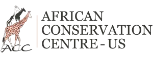accafrica-us.org