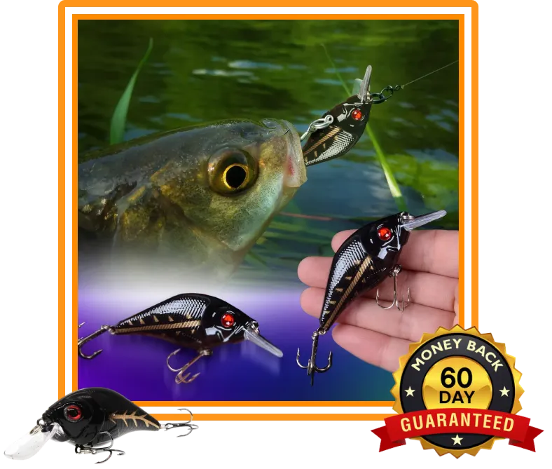 Freshwater Master Black Crankbait