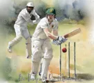 20oz Protea Cricket PNG