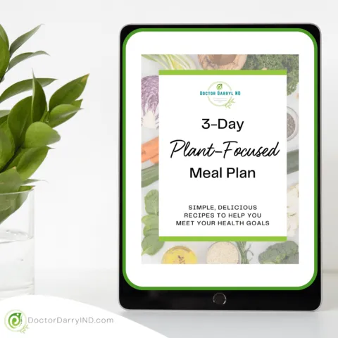 3-Day Plant-Focused Meal Plan
