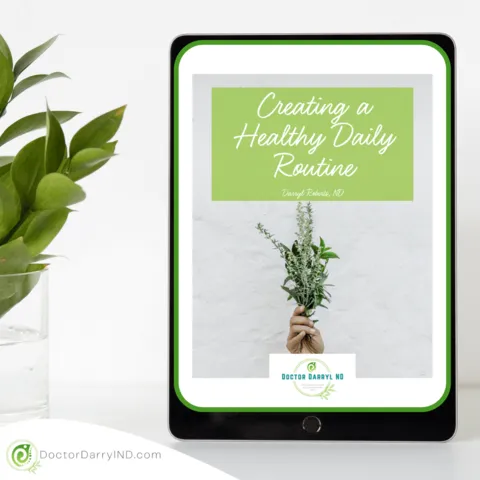 Creating a Healthy Daily Routine eBook