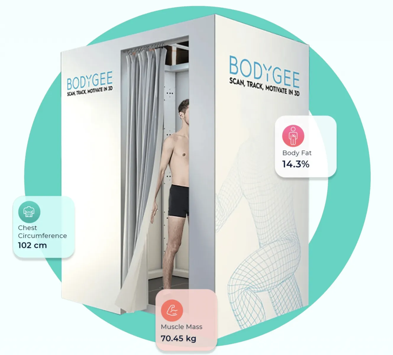 Body Fat Update: New body fat classification and lower body fat percentage  – Bodygee Guide